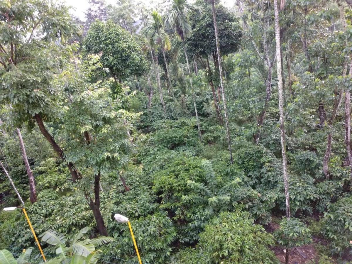 Wanders In Travel Company Hotel Madikeri Exterior photo