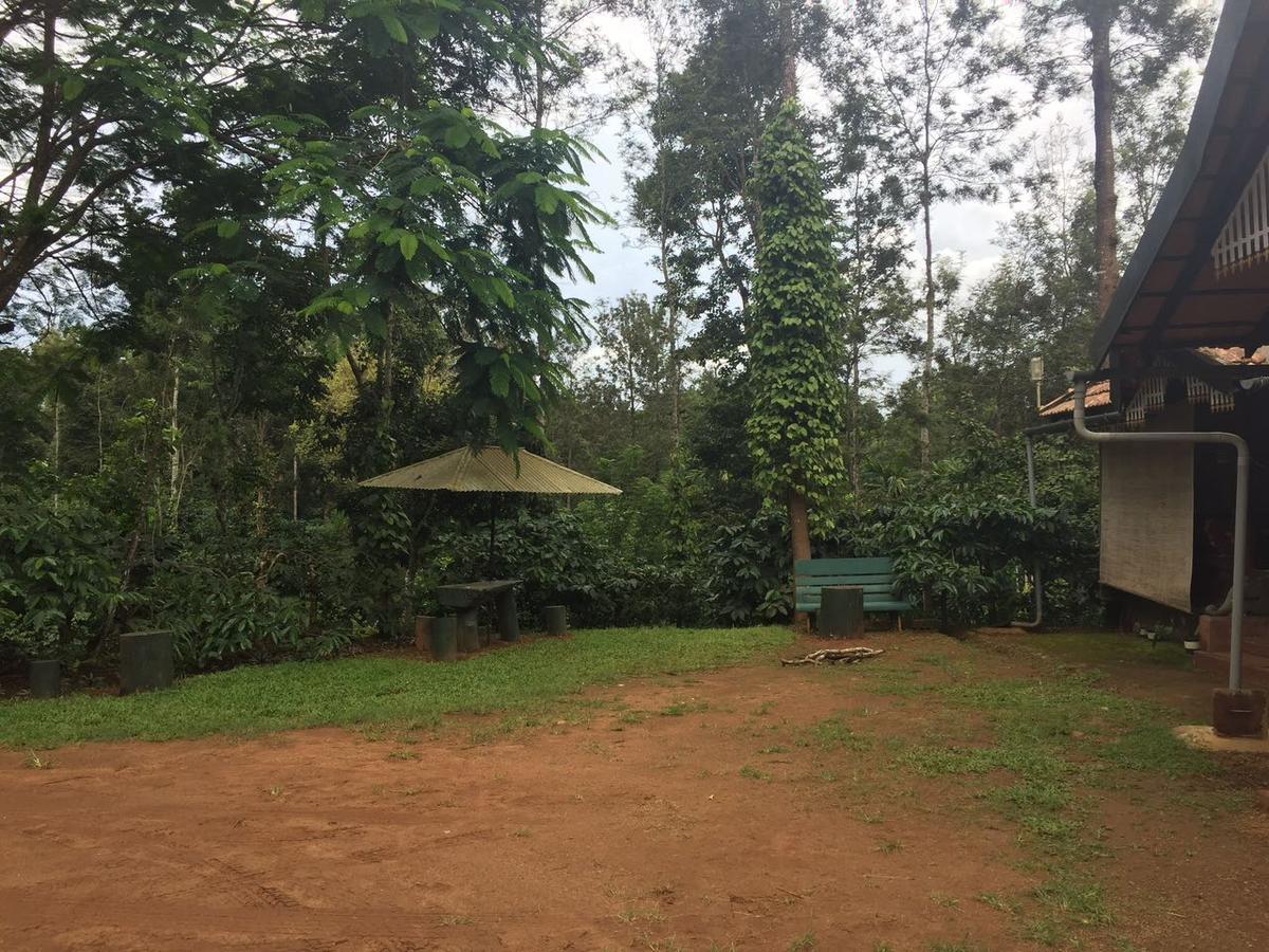 Wanders In Travel Company Hotel Madikeri Exterior photo